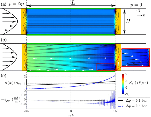 Complex electric double layers in charged topological colloids